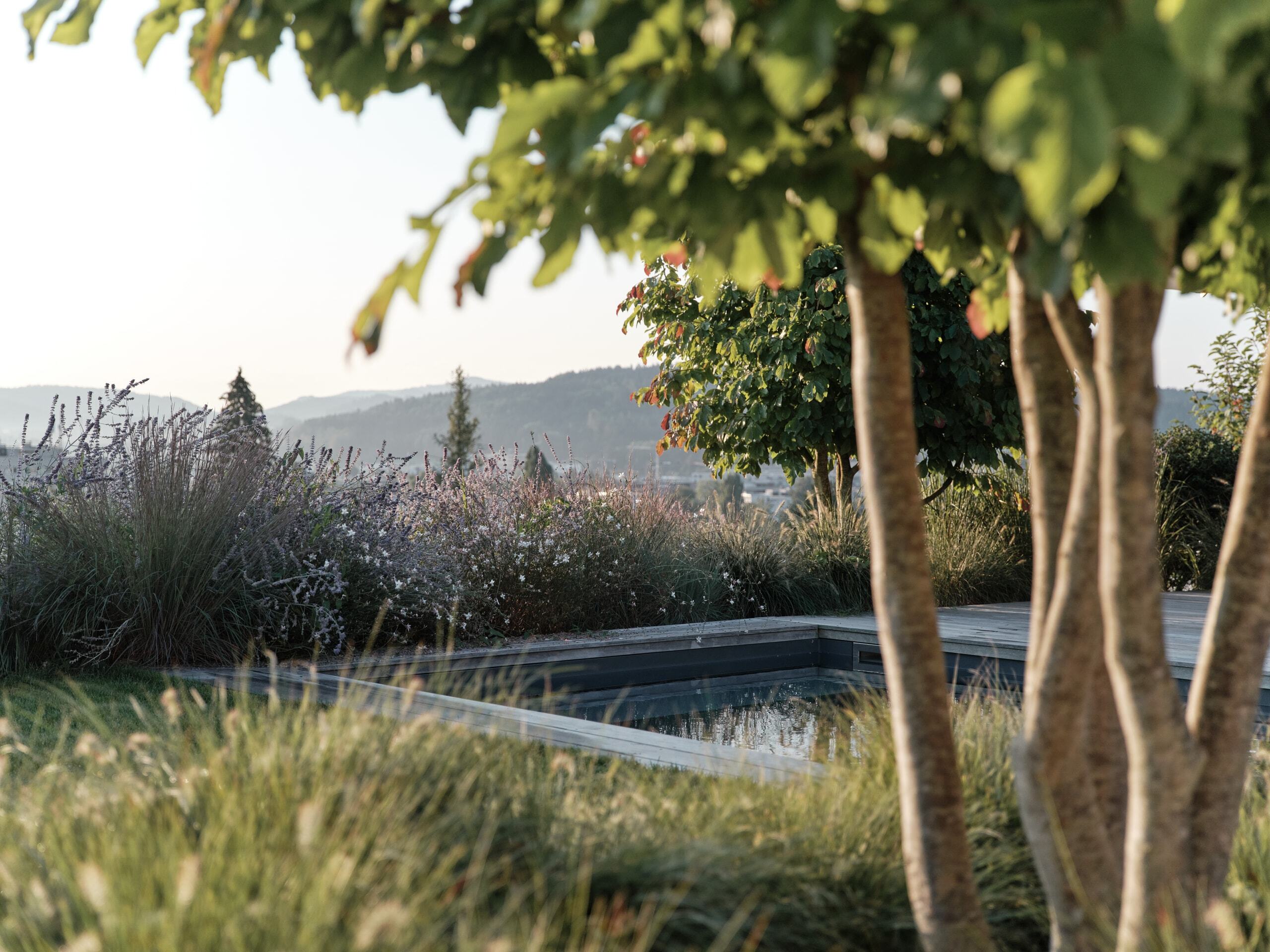 Eberle Landschaftsarchitektur Garten Winterthur GFX16609